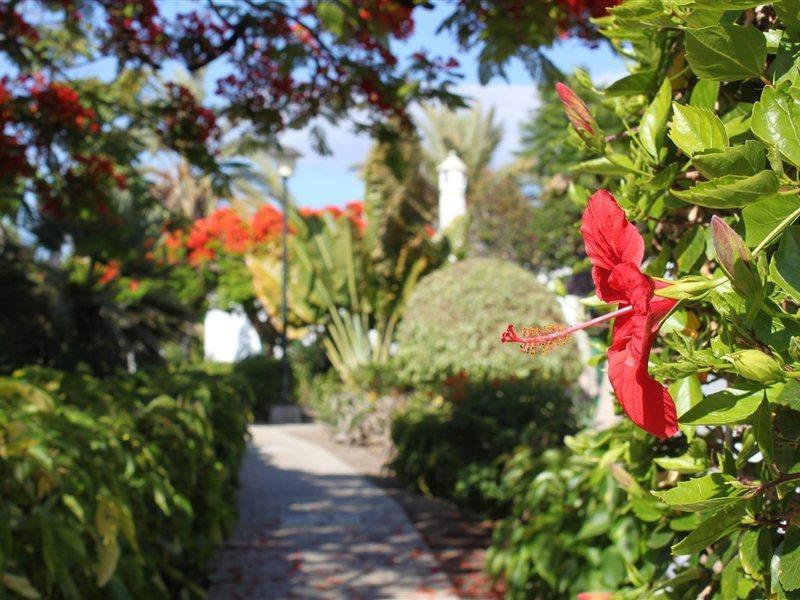 Bungalows Cordial Sandy Golf มาสปาโลมาส ภายนอก รูปภาพ